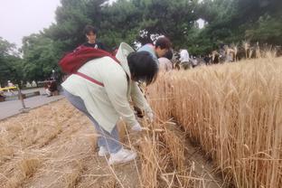 食欲不佳！哈兰德半场：3次射门0射正，仅8次触球，6.4分并列最低